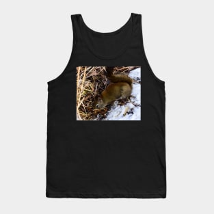 Searching for seeds. Tank Top